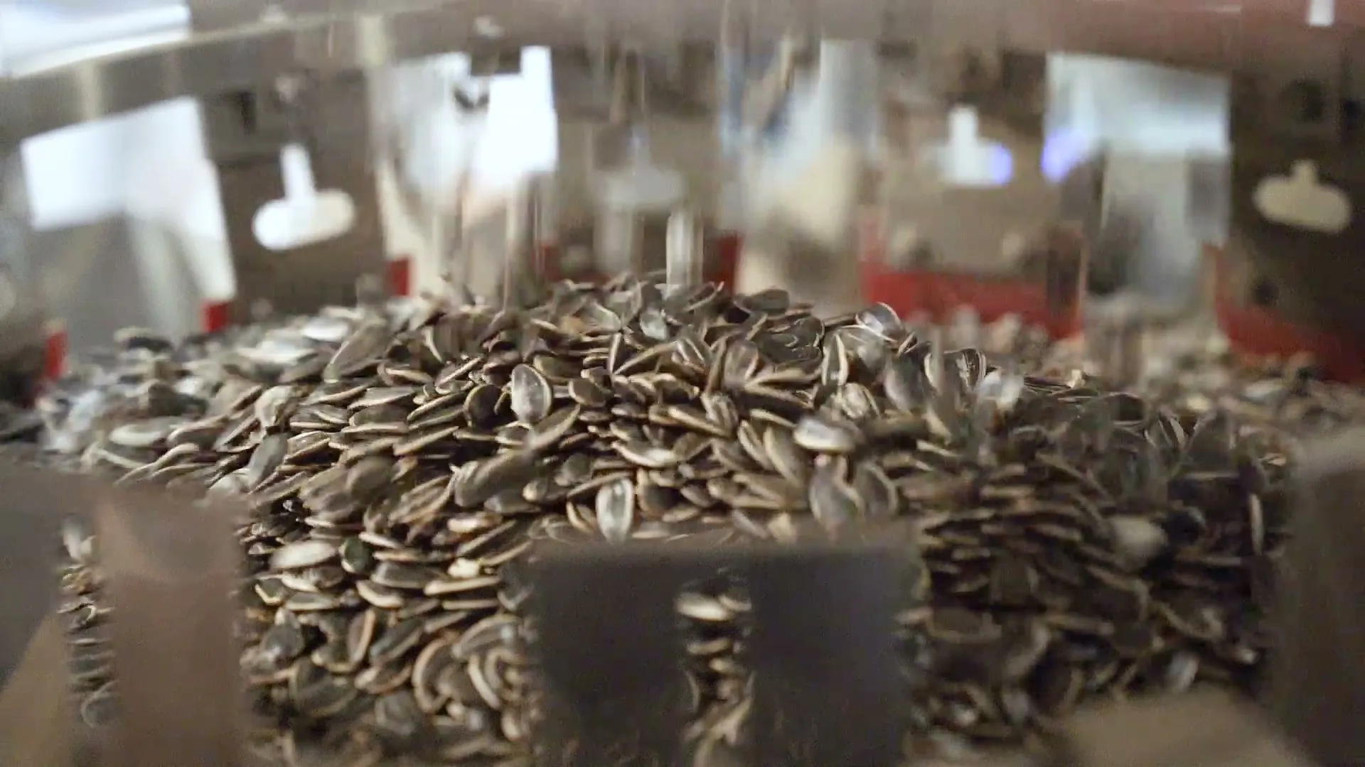 Sunflower seeds in the weigher buckets